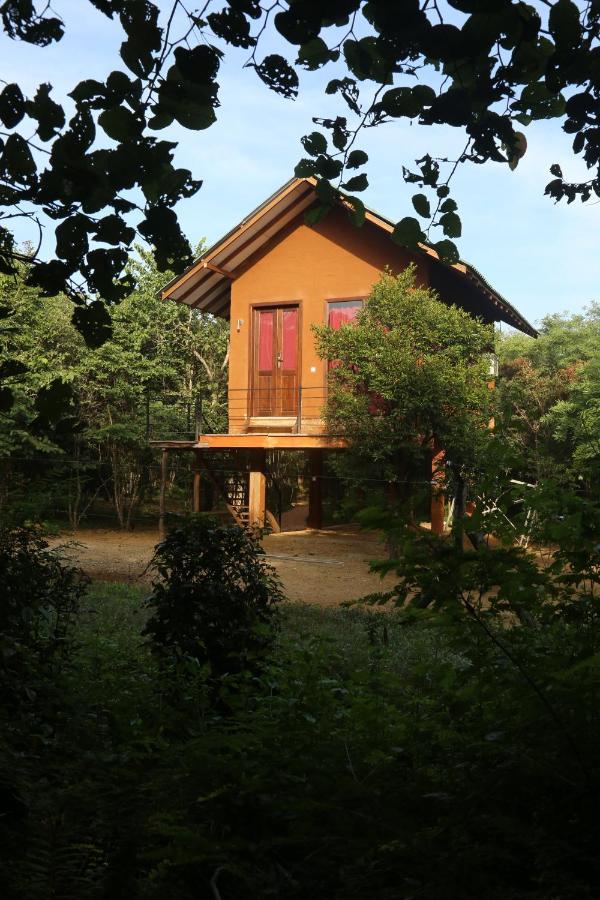 Sky Forest Habarana Exterior foto